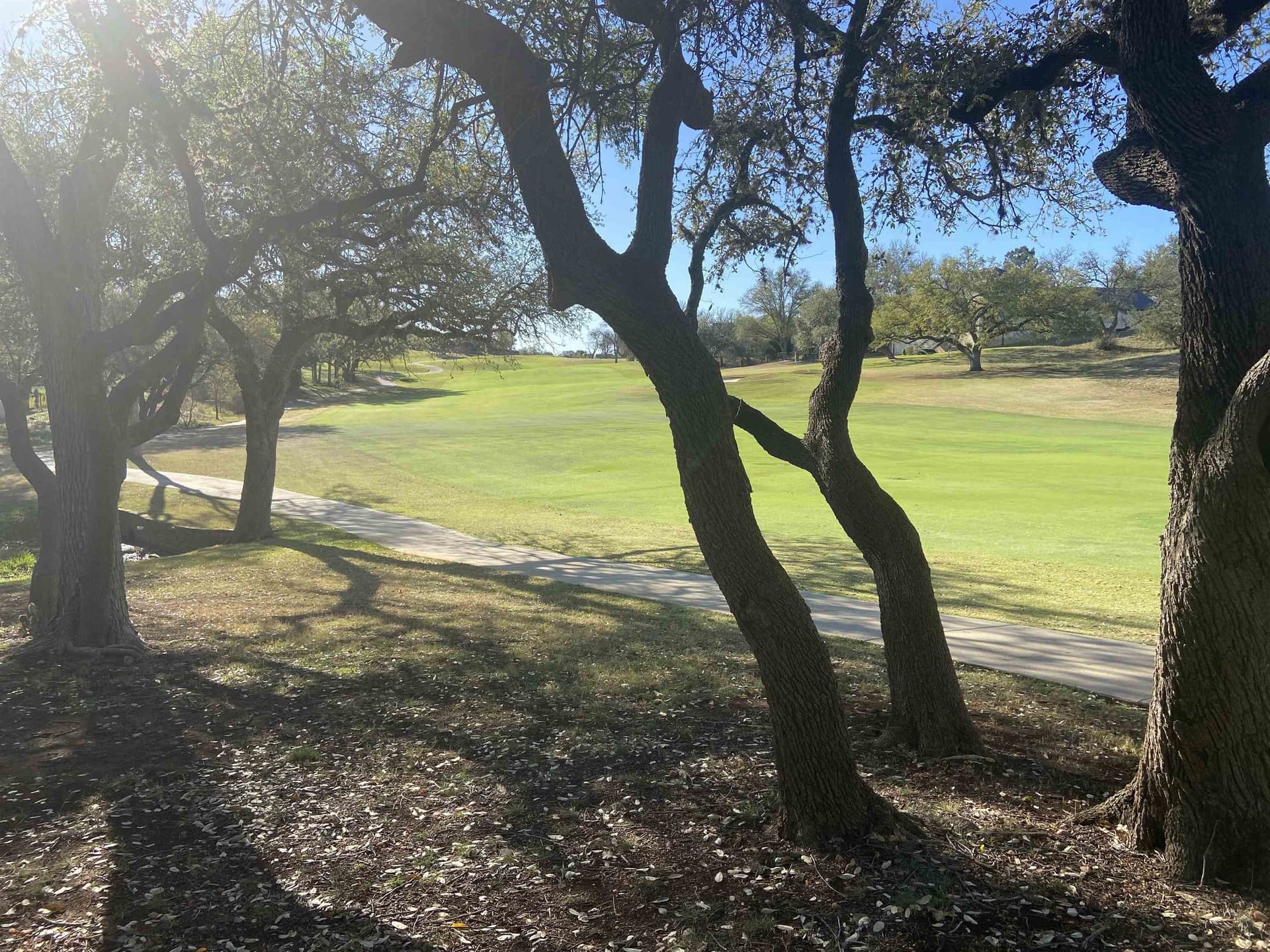 0.23 acres in Llano County gallery image 2