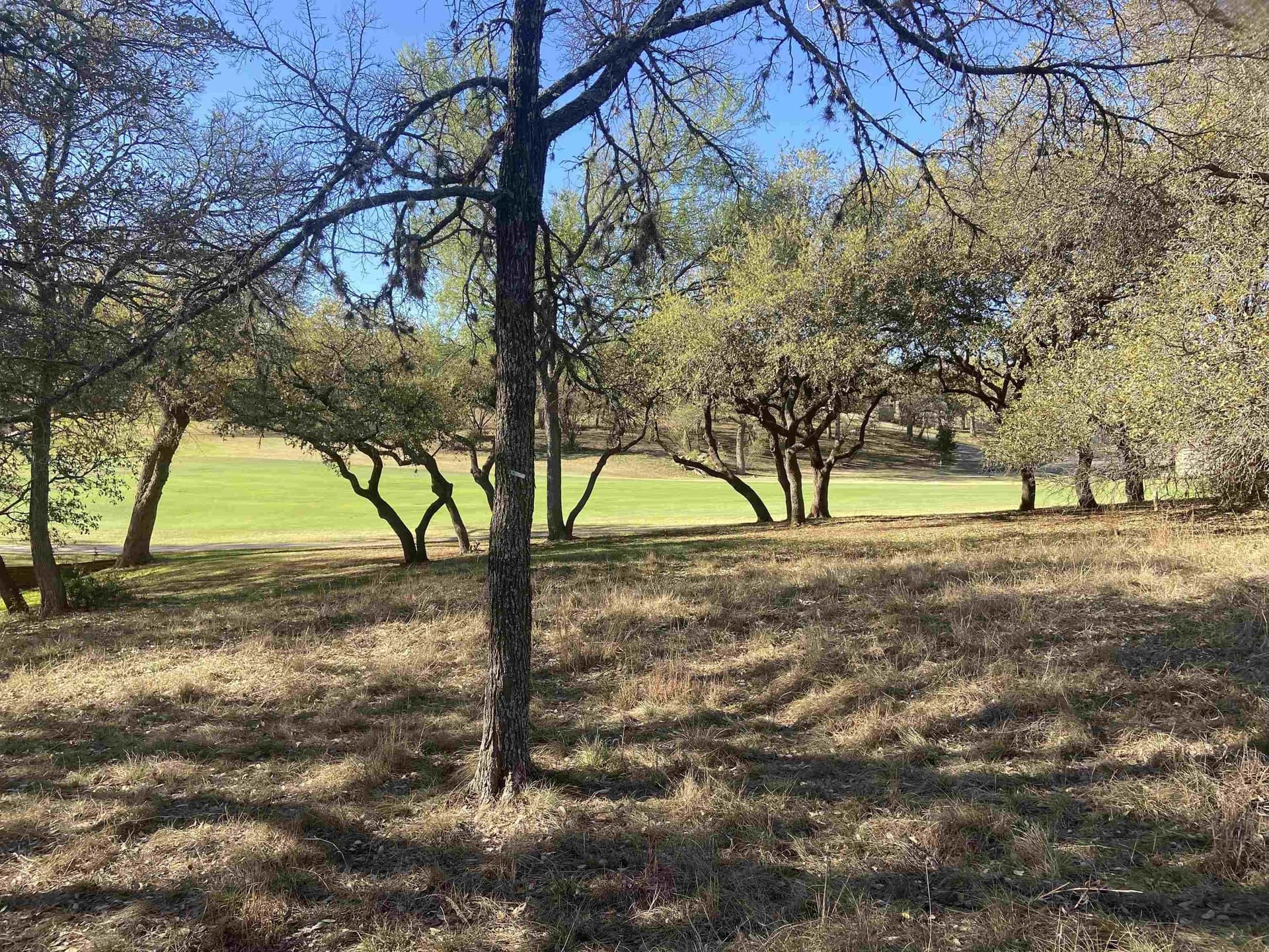0.23 acres in Llano County gallery image 4