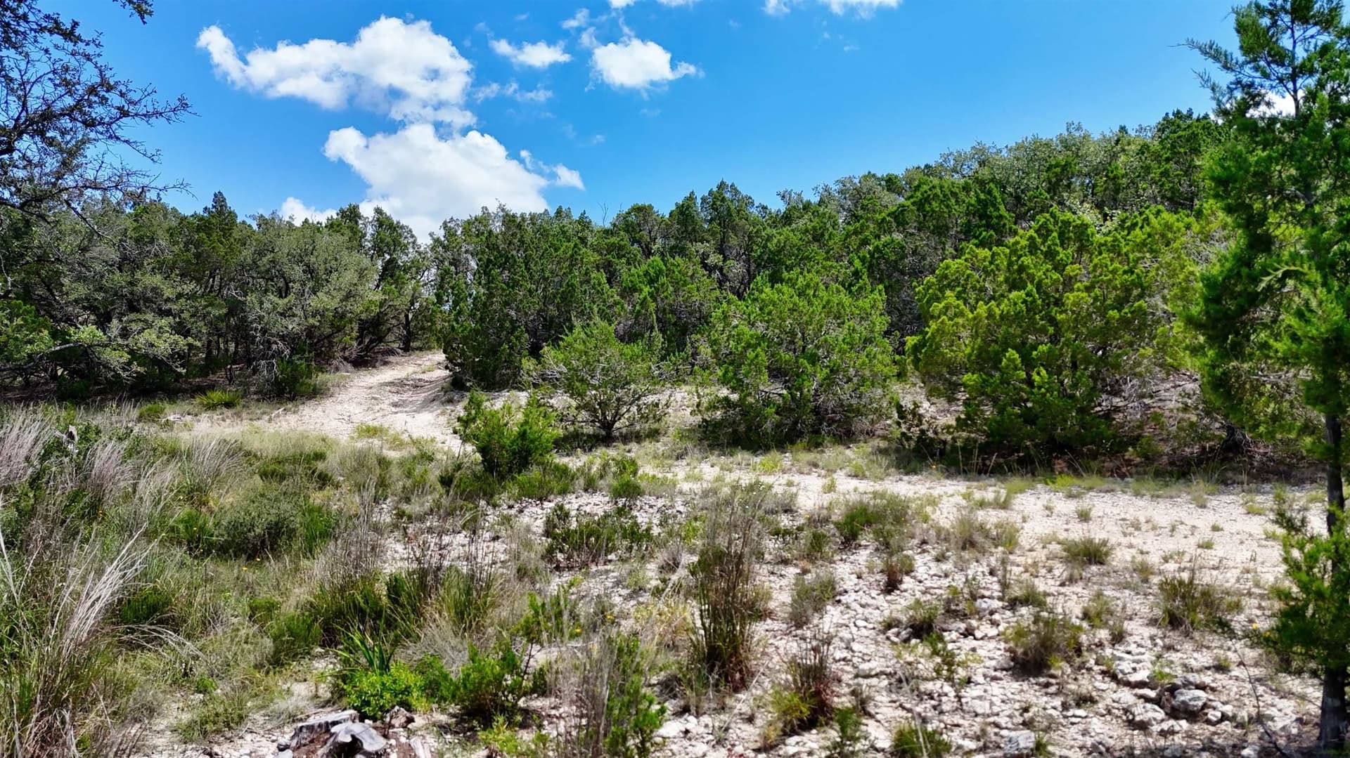 5.41 acres in Travis County - photo 22