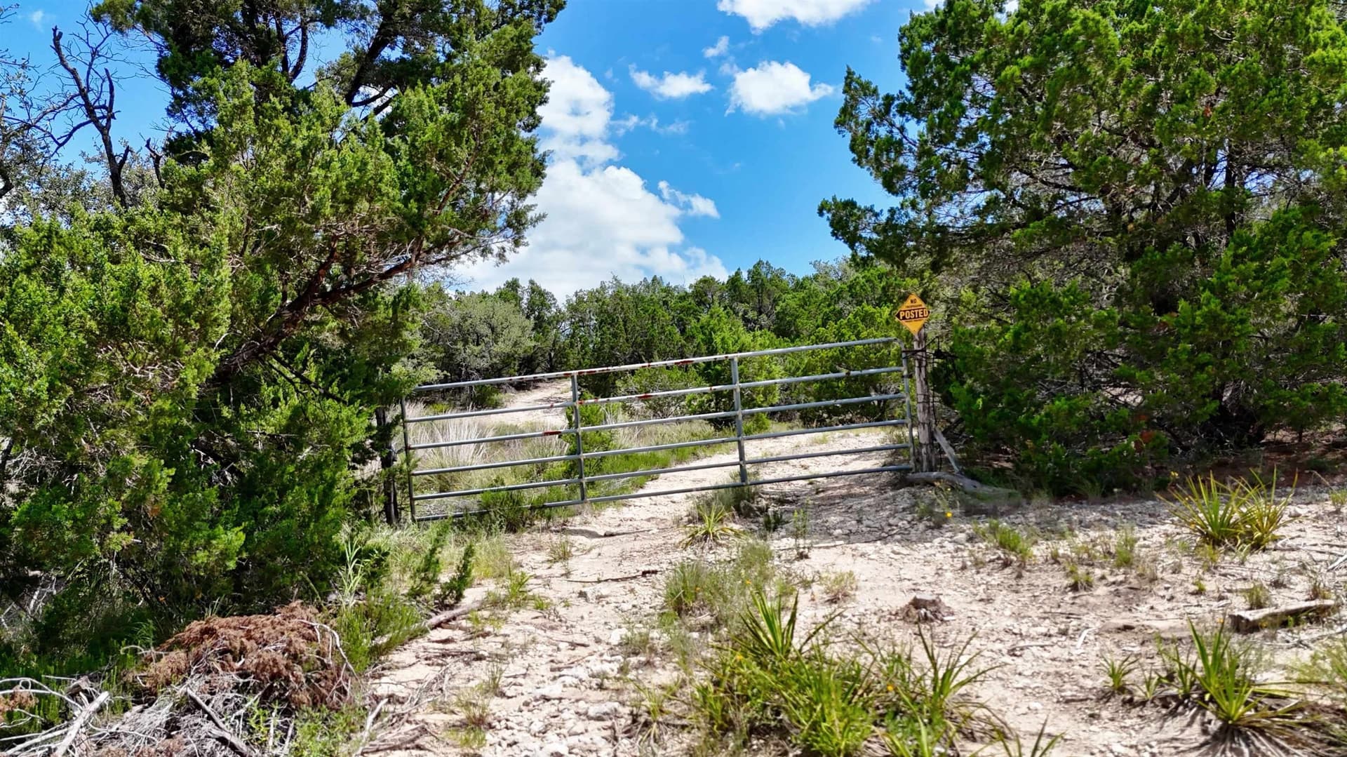 5.41 acres in Travis County - photo 6