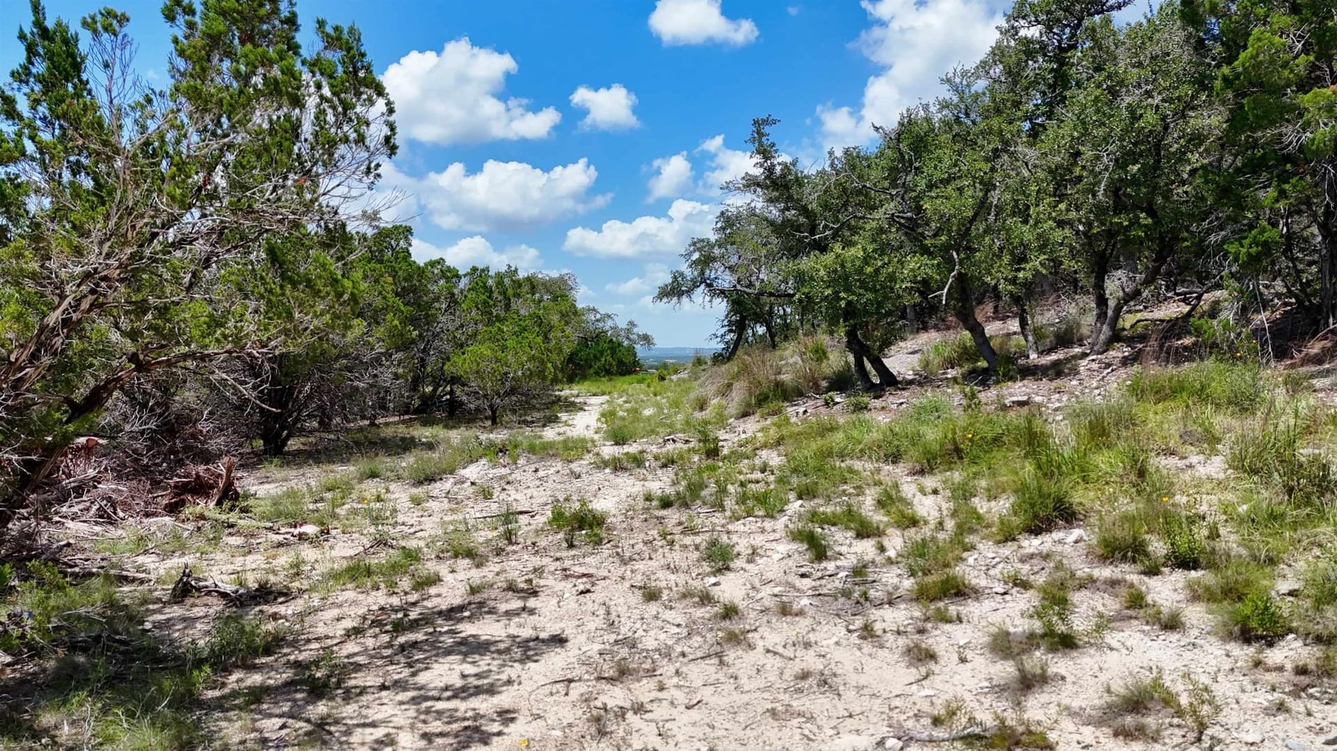 5.41 acres in Travis County - photo 15