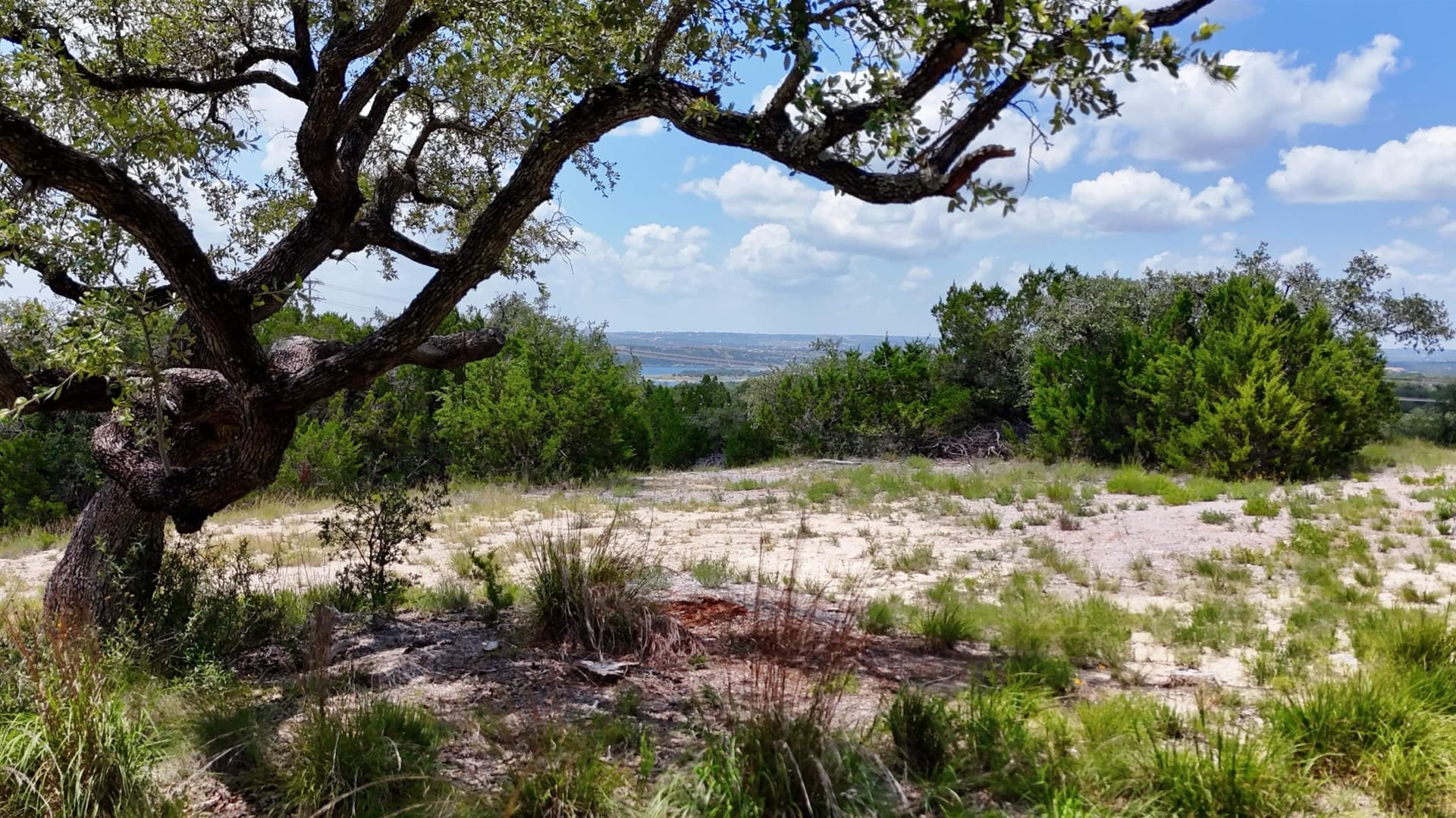 5.41 acres in Travis County - photo 13