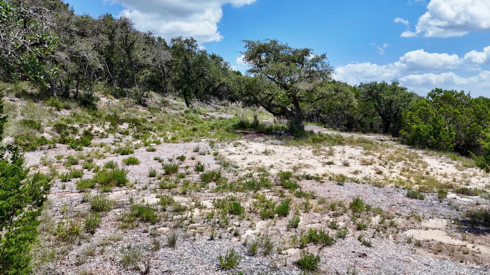 5.41 acres in Travis County - photo 17