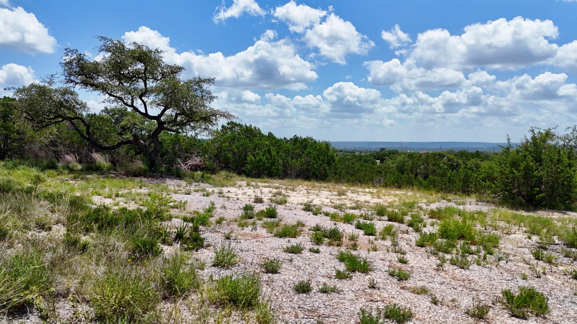 5.41 acres in Travis County - photo 14