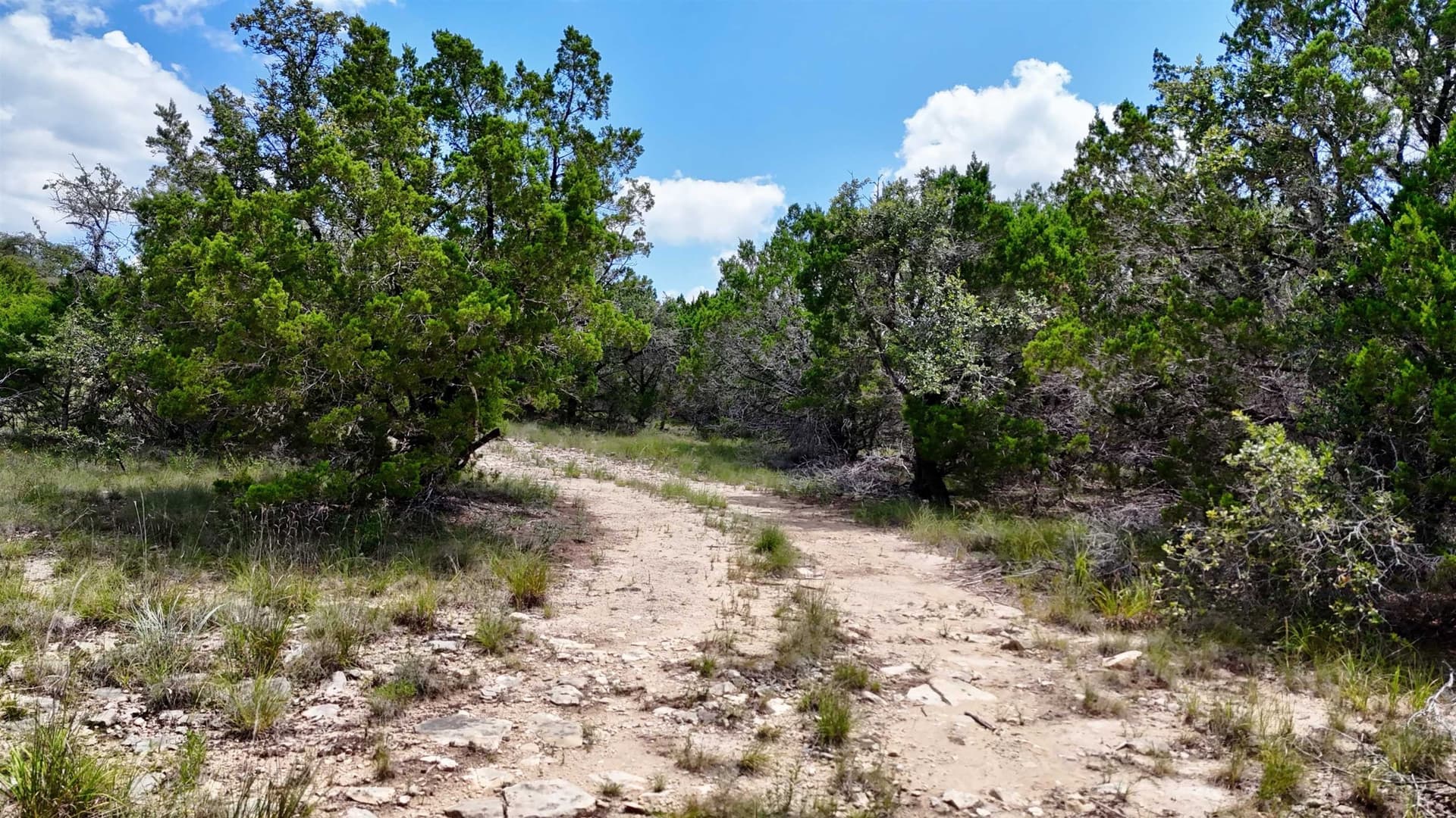 5.41 acres in Travis County - photo 8