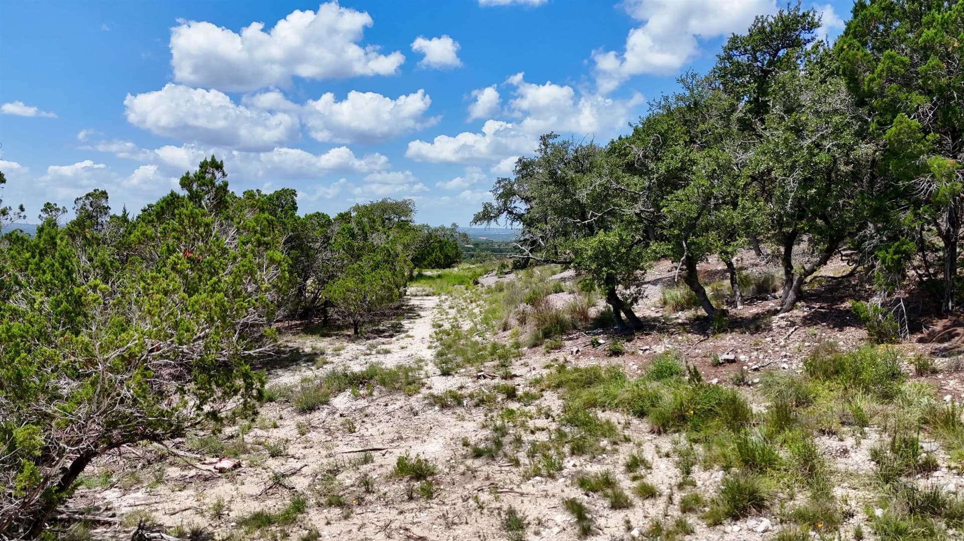 5.41 acres in Travis County - photo 16