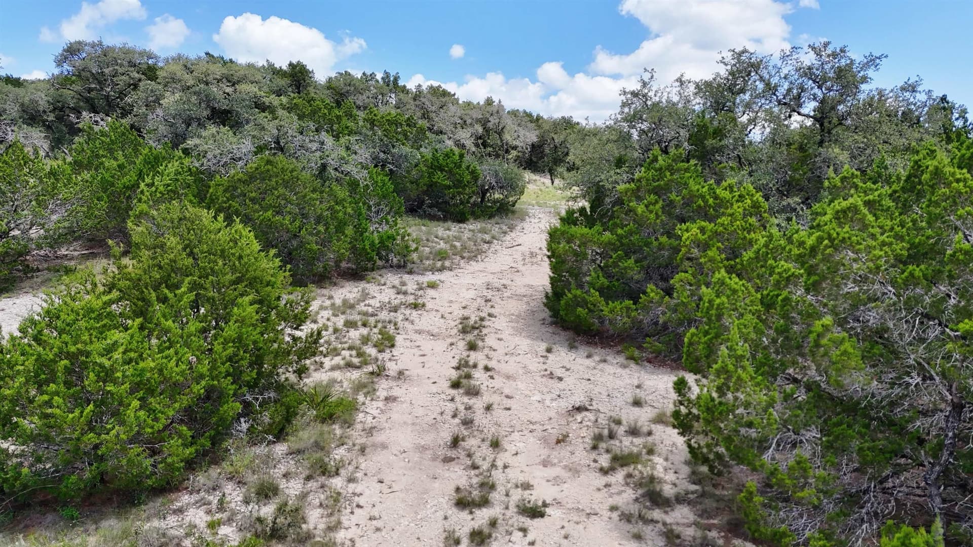 5.41 acres in Travis County - photo 9