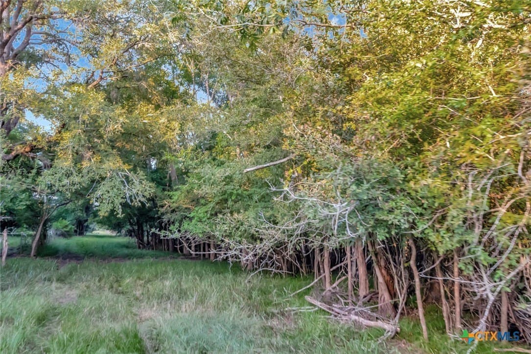 179.97 acres in Jackson County - photo 16