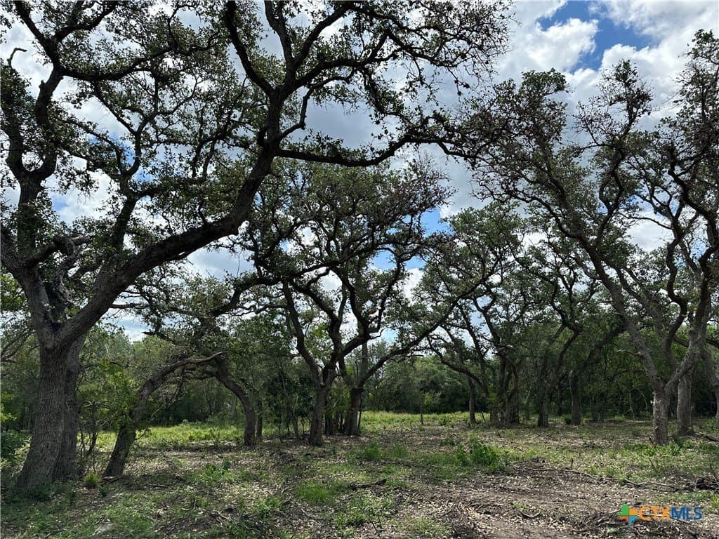 10.98 acres in Goliad County gallery image 2