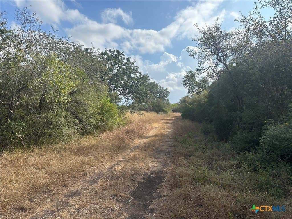 10.98 acres in Goliad County featured view