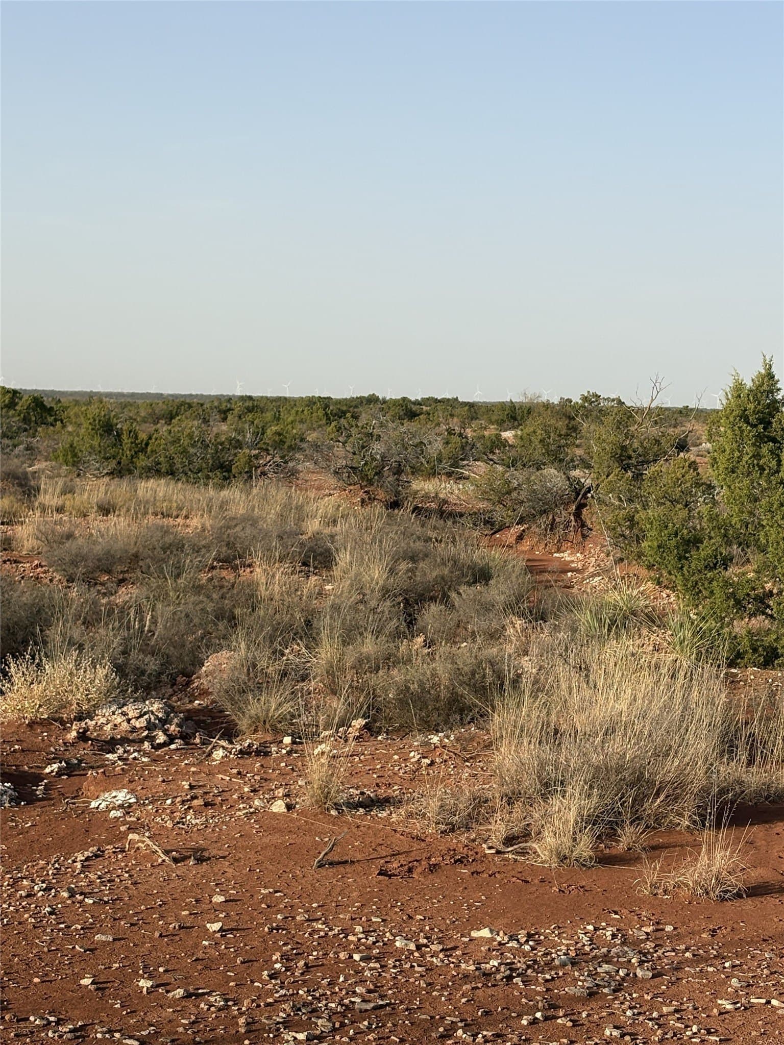 40 acres in Knox County