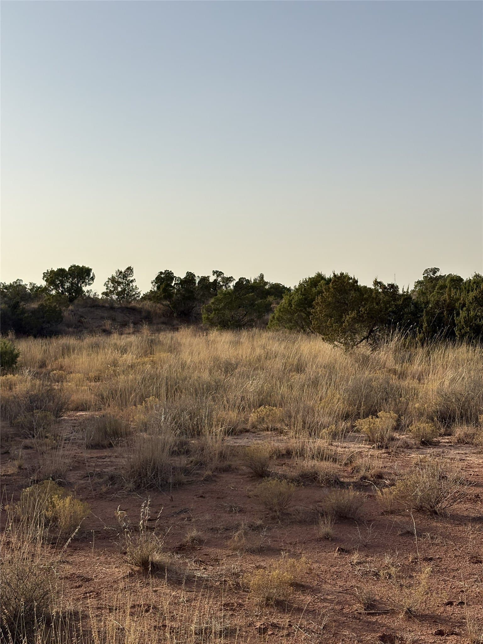 40 acres in Knox County - photo 4