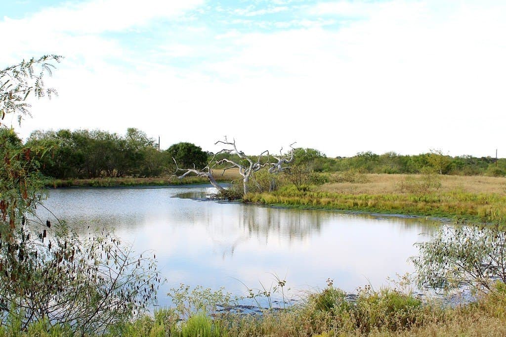 10 acres in Colorado County gallery image 3