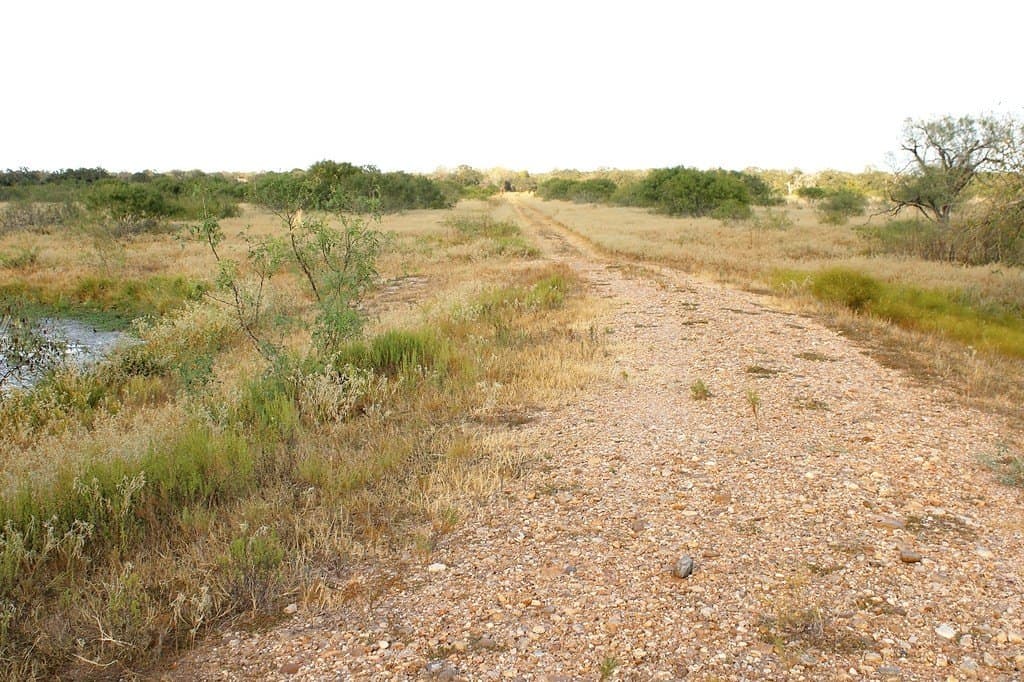 10 acres in Colorado County gallery image 2