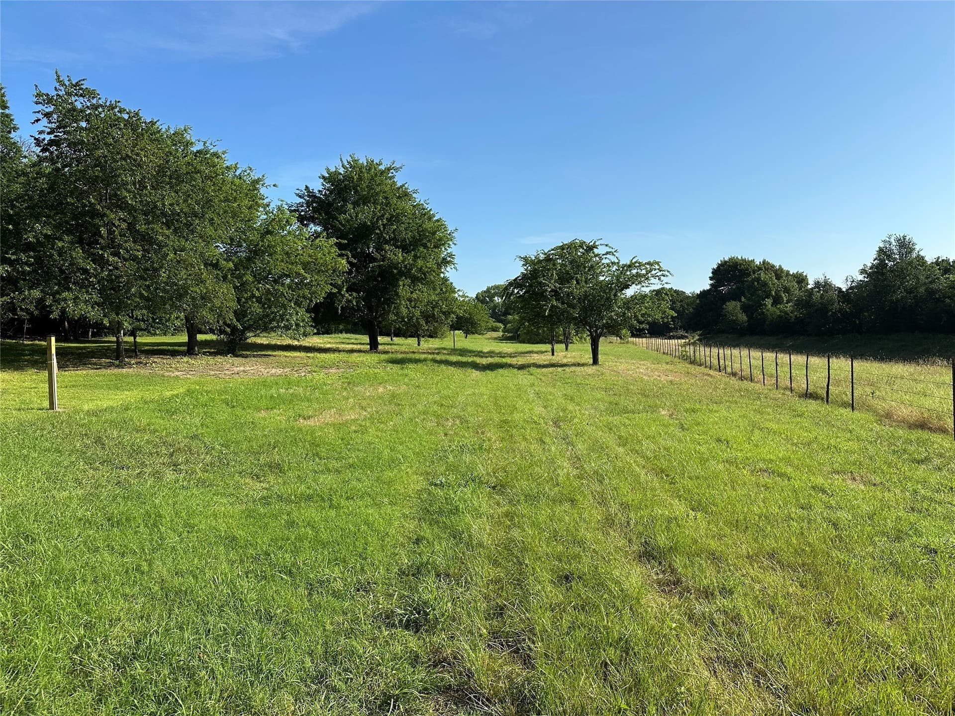 3 acres in Parker County gallery image 2