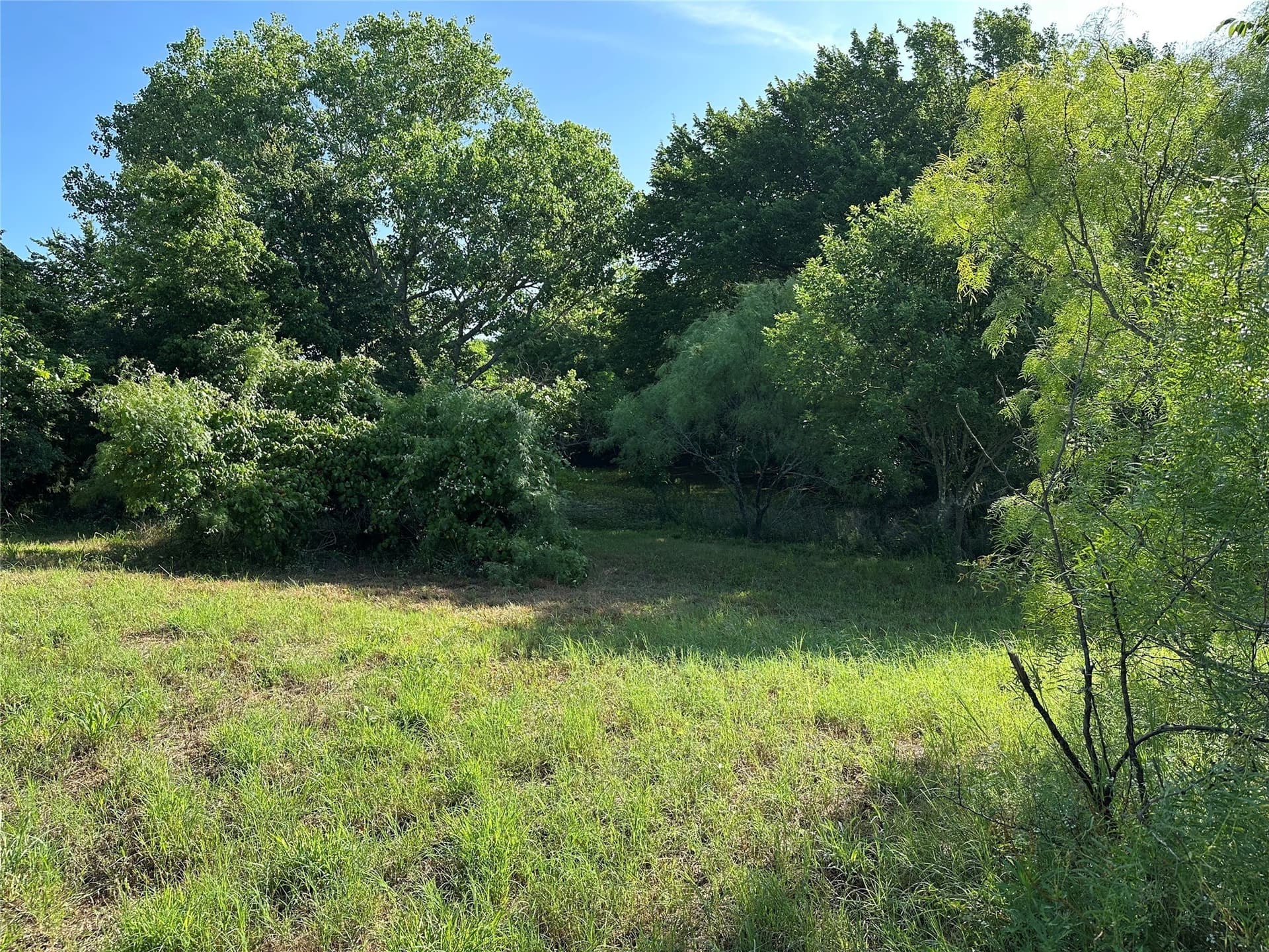 3 acres in Parker County - photo 6