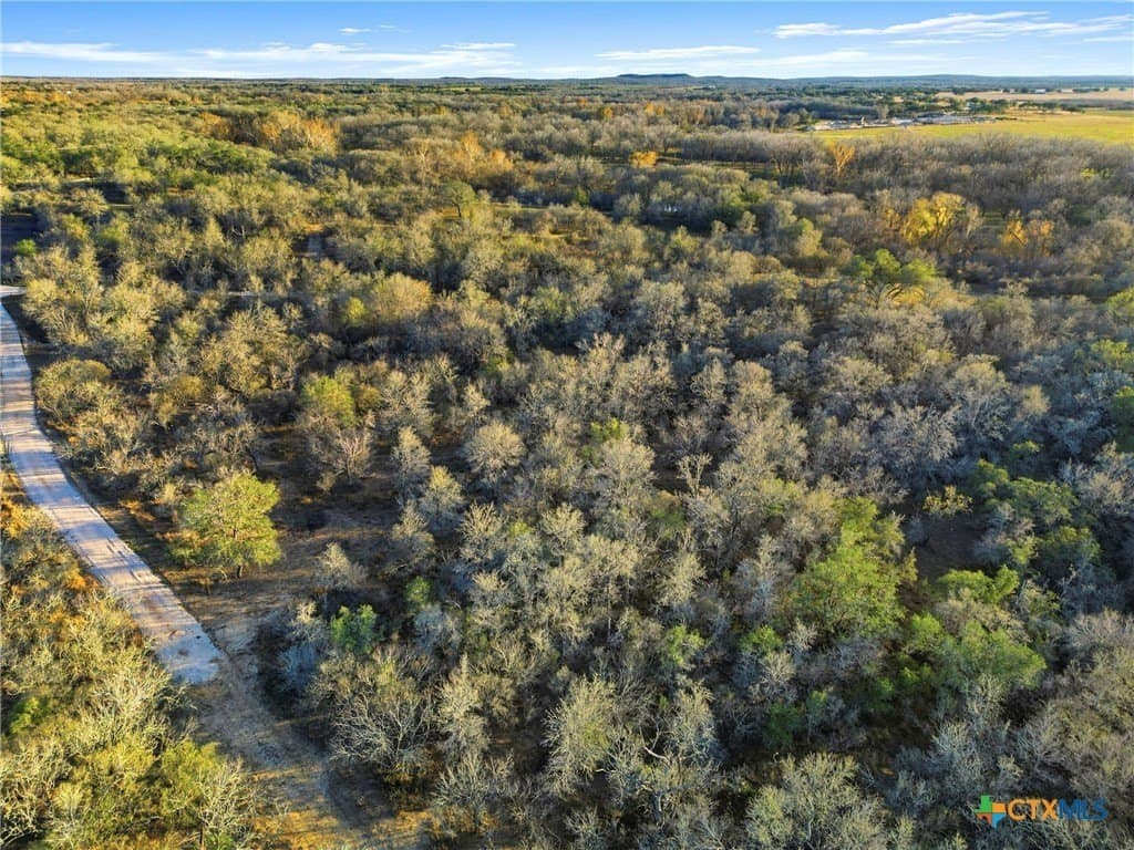 16.13 acres in Guadalupe County - photo 43