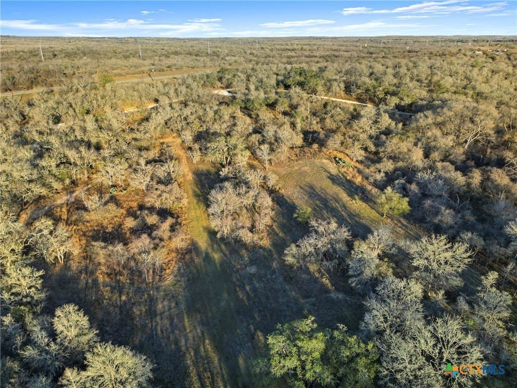 16.13 acres in Guadalupe County - photo 41