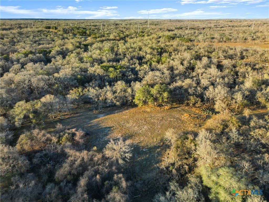 16.13 acres in Guadalupe County - photo 42