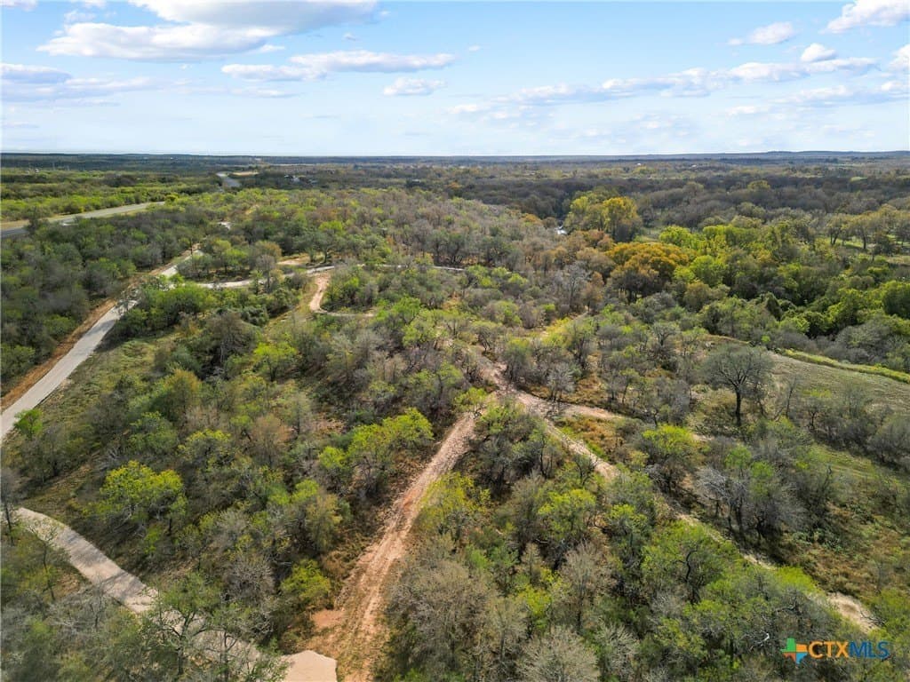 16.13 acres in Guadalupe County - photo 28