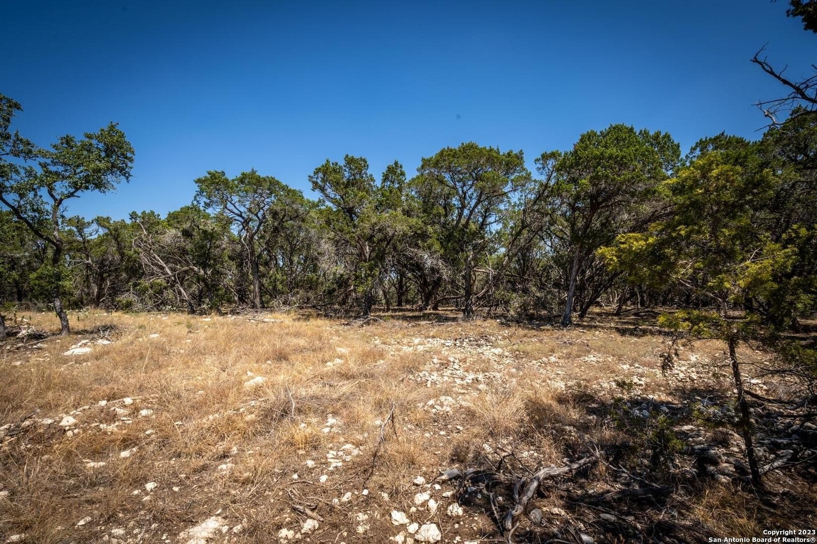 2.3 acres in Kendall County - photo 13