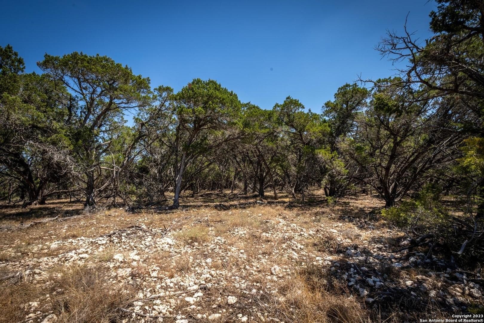 2.3 acres in Kendall County - photo 14