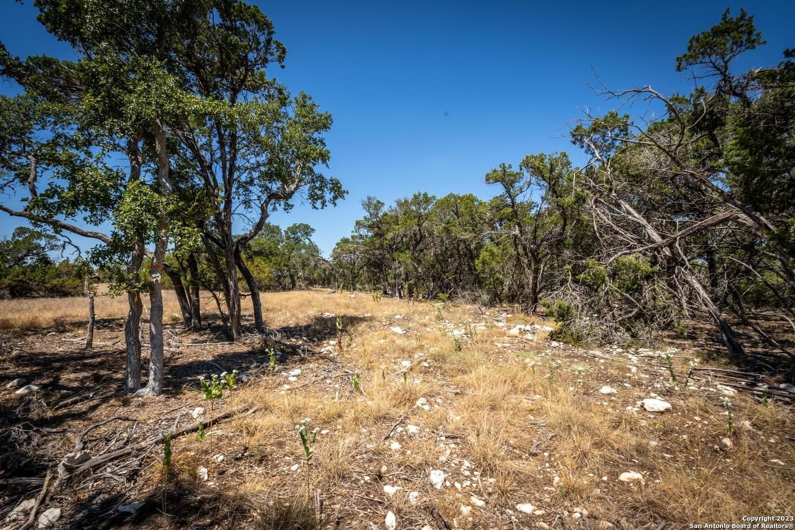 2.3 acres in Kendall County - photo 16