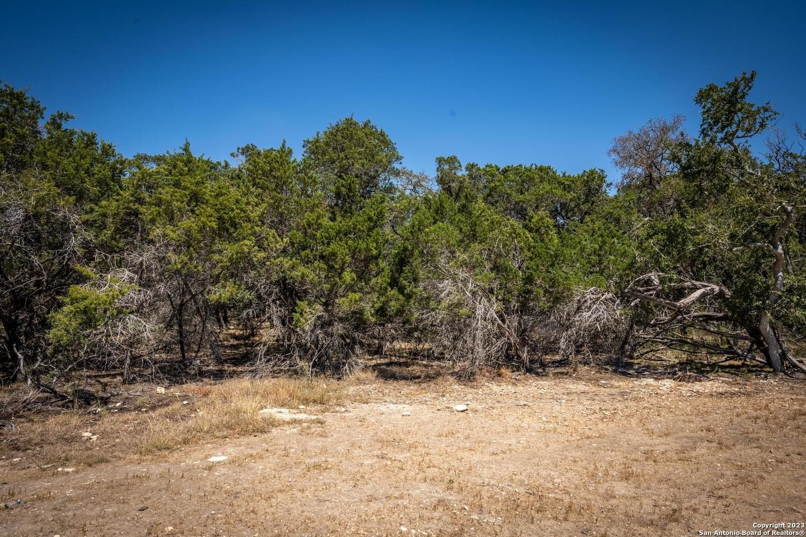 2.3 acres in Kendall County - photo 11