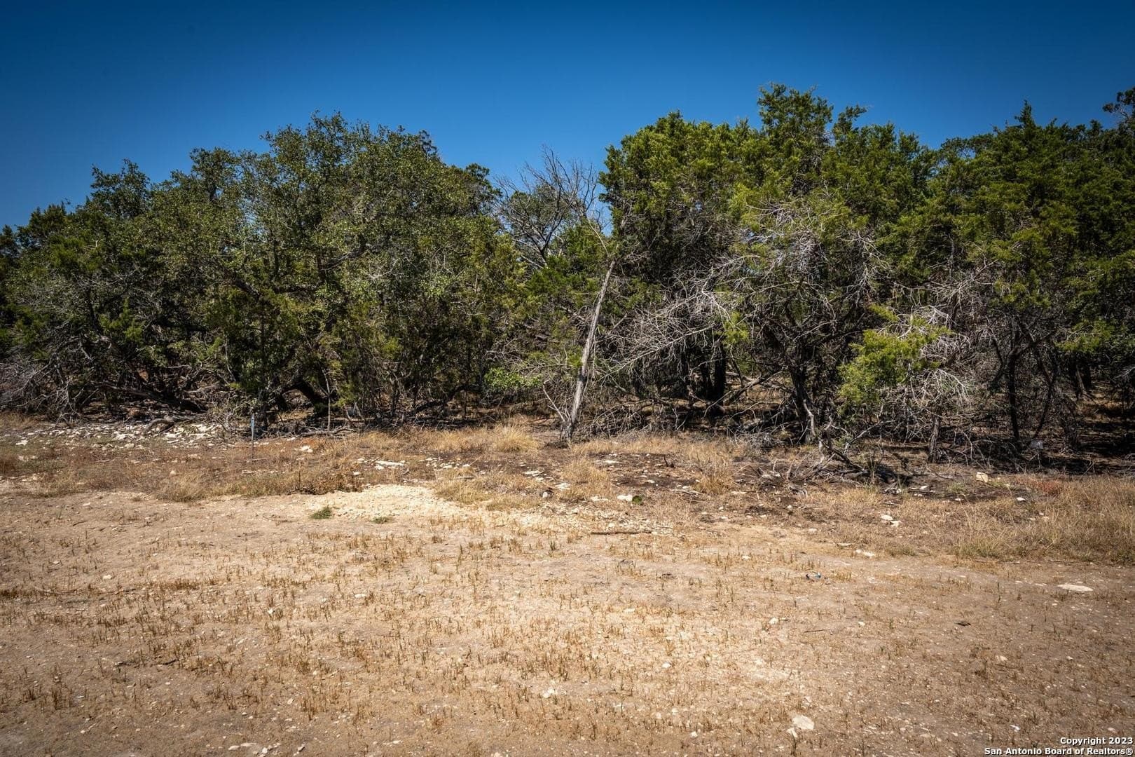 2.3 acres in Kendall County - photo 10