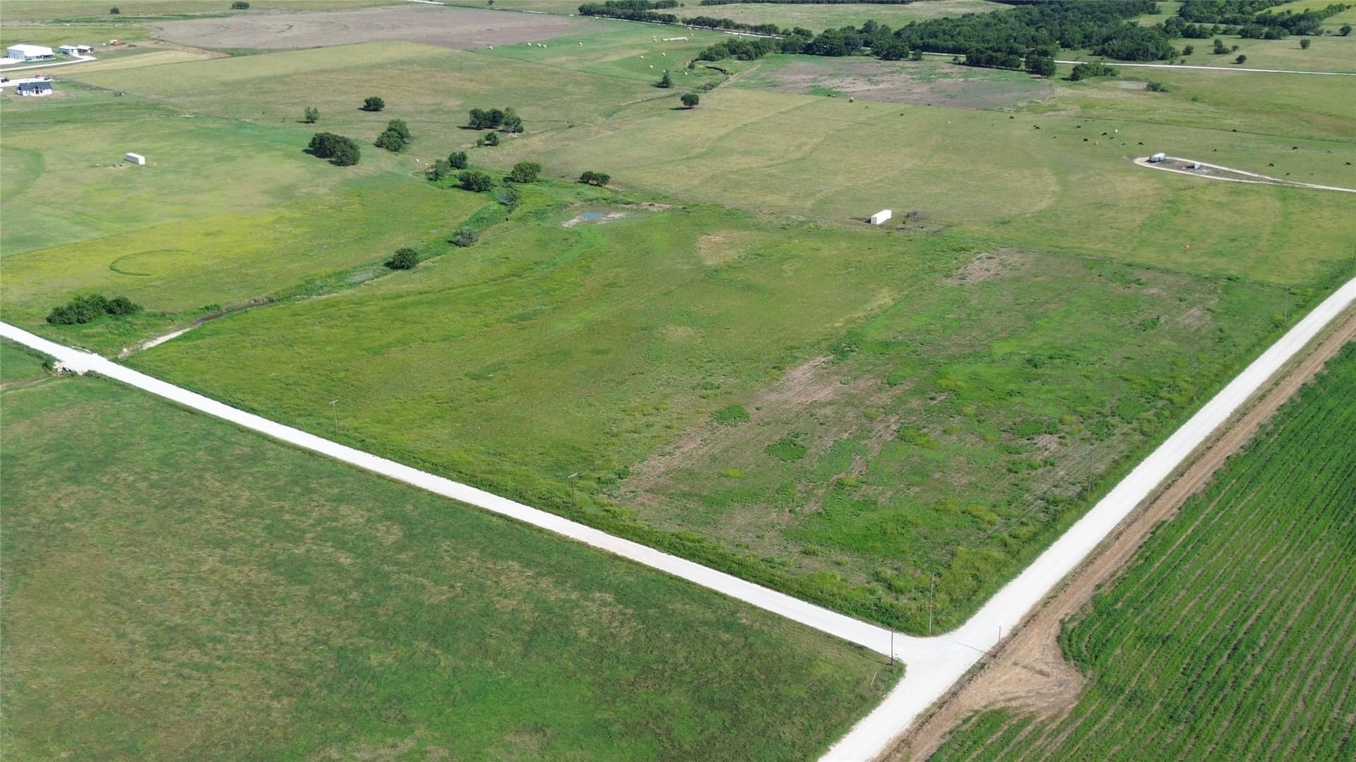 23.5 acres in Cooke County - photo 6