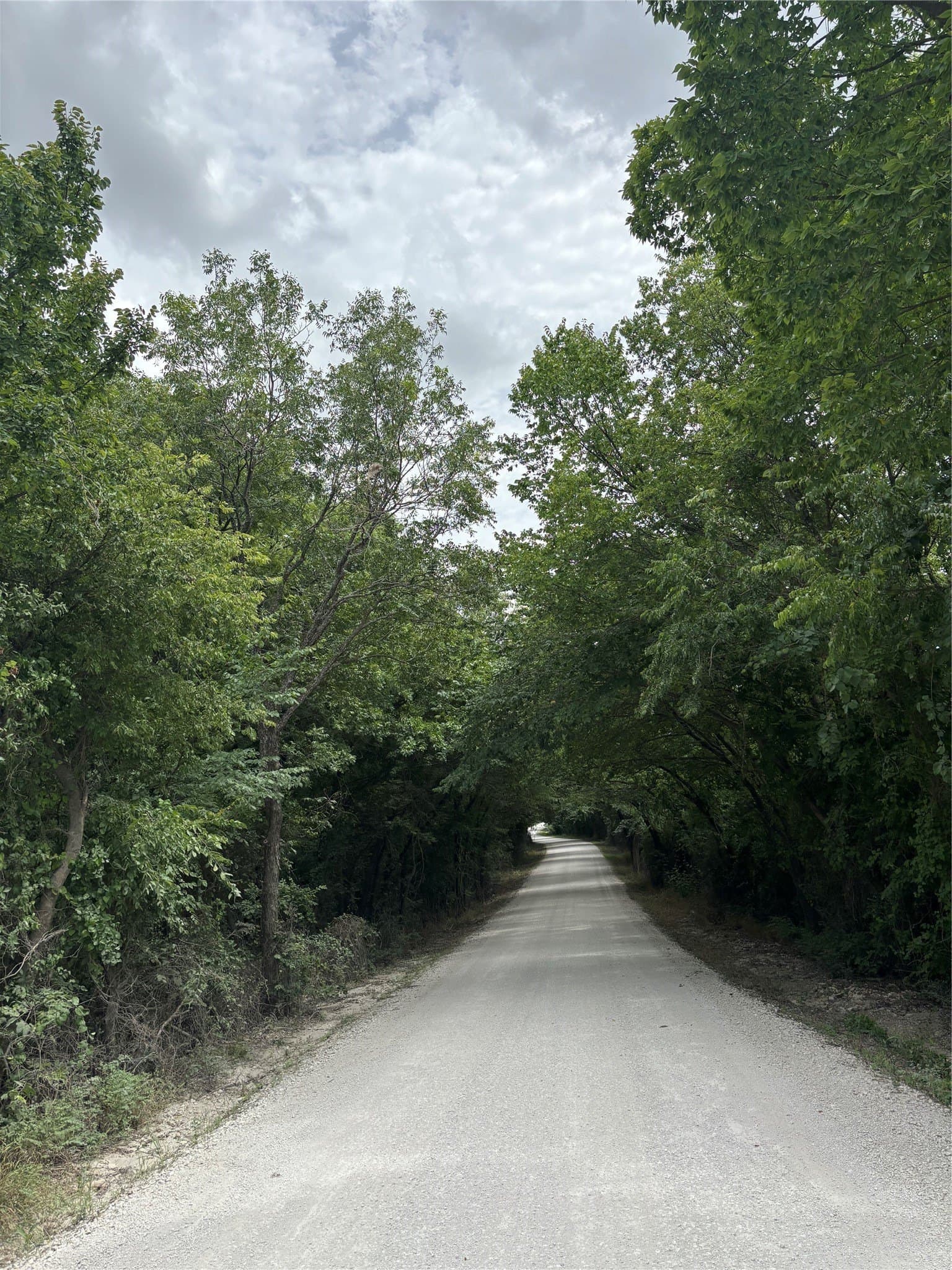 23.5 acres in Cooke County - photo 13