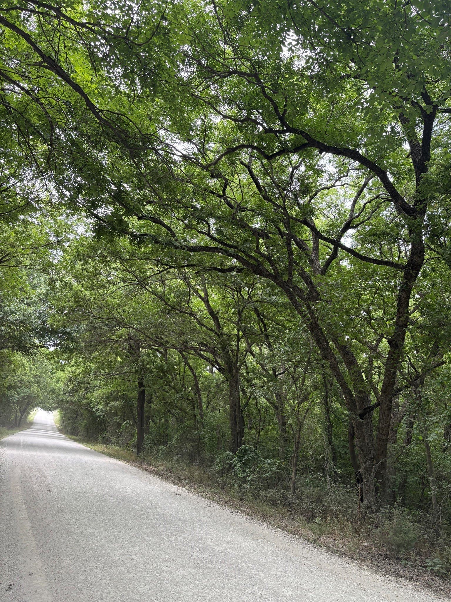 23.5 acres in Cooke County - photo 12