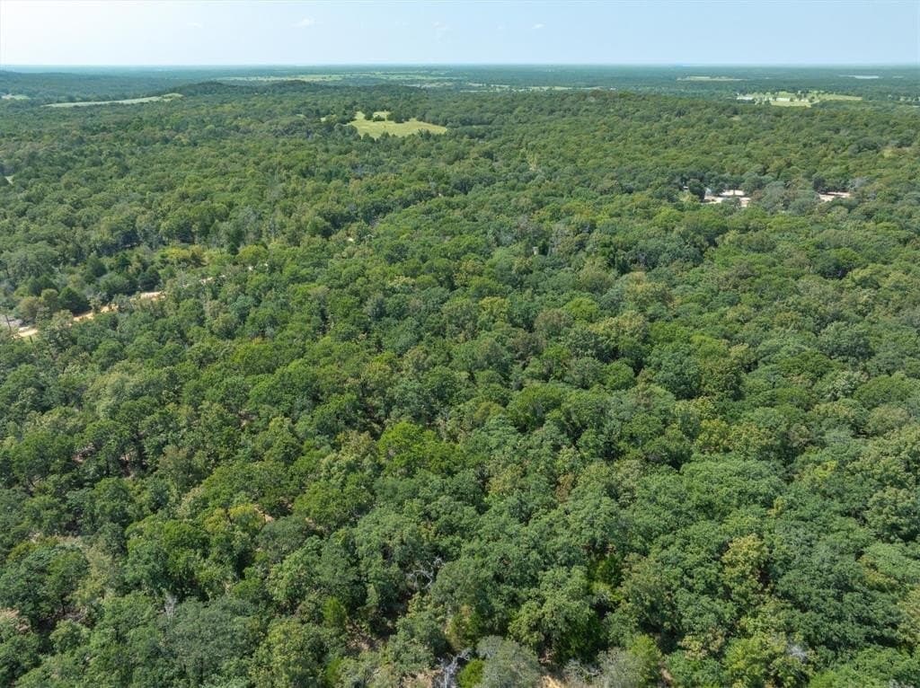 5.37 acres in Van Zandt County gallery image 4