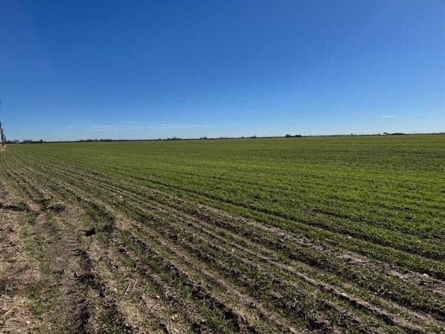 1.8 acres in Taylor County gallery image 4