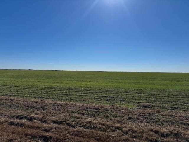 1.8 acres in Taylor County gallery image 2