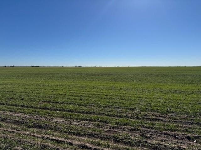 1.8 acres in Taylor County gallery image 3