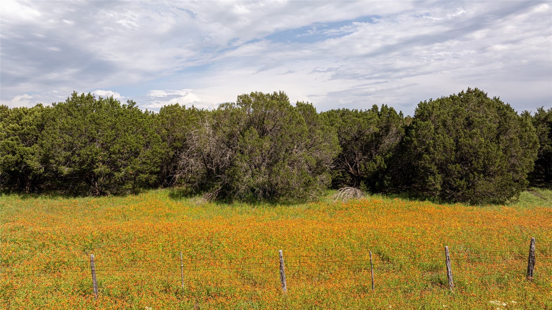 10.49 acres in Somervell County - photo 13