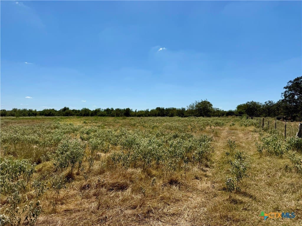 10.01 acres in Gonzales County - photo 29
