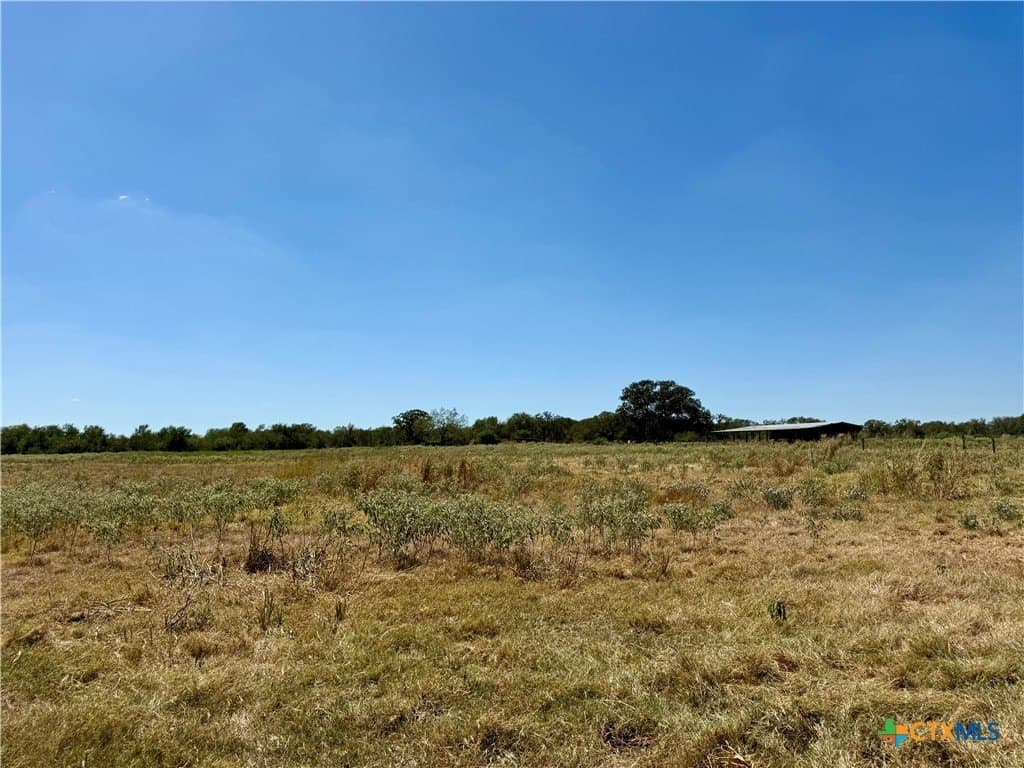 10.01 acres in Gonzales County - photo 34