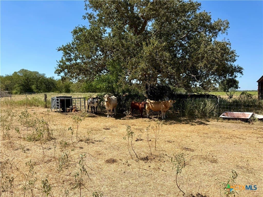 10.01 acres in Gonzales County - photo 27