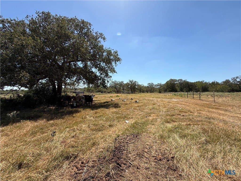 10.01 acres in Gonzales County - photo 18