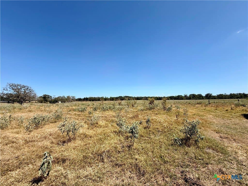 10.01 acres in Gonzales County - photo 15