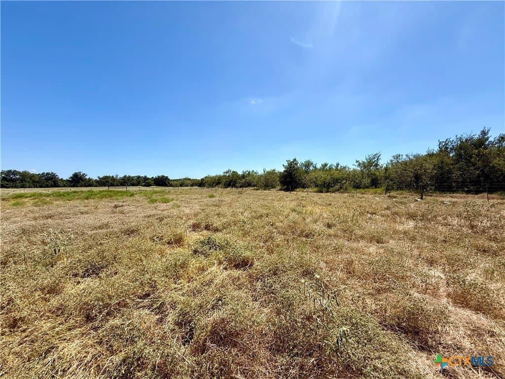 10.01 acres in Gonzales County - photo 23