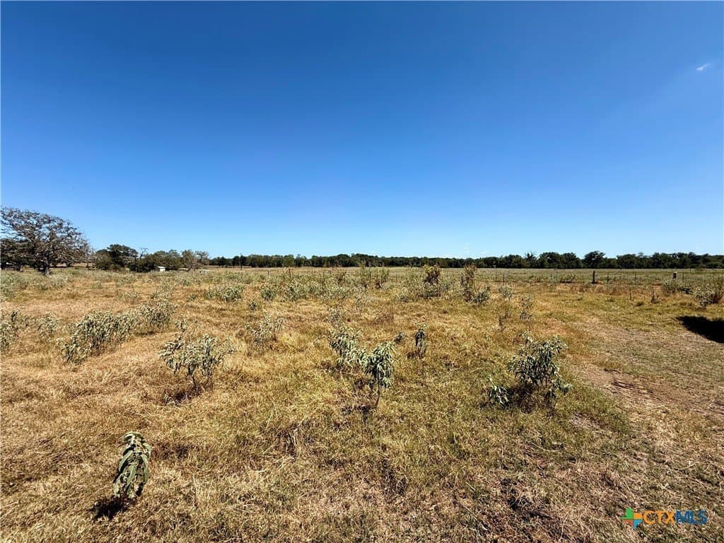 10.01 acres in Gonzales County - photo 16