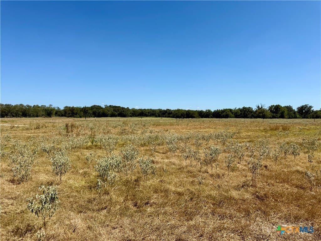10.01 acres in Gonzales County - photo 31