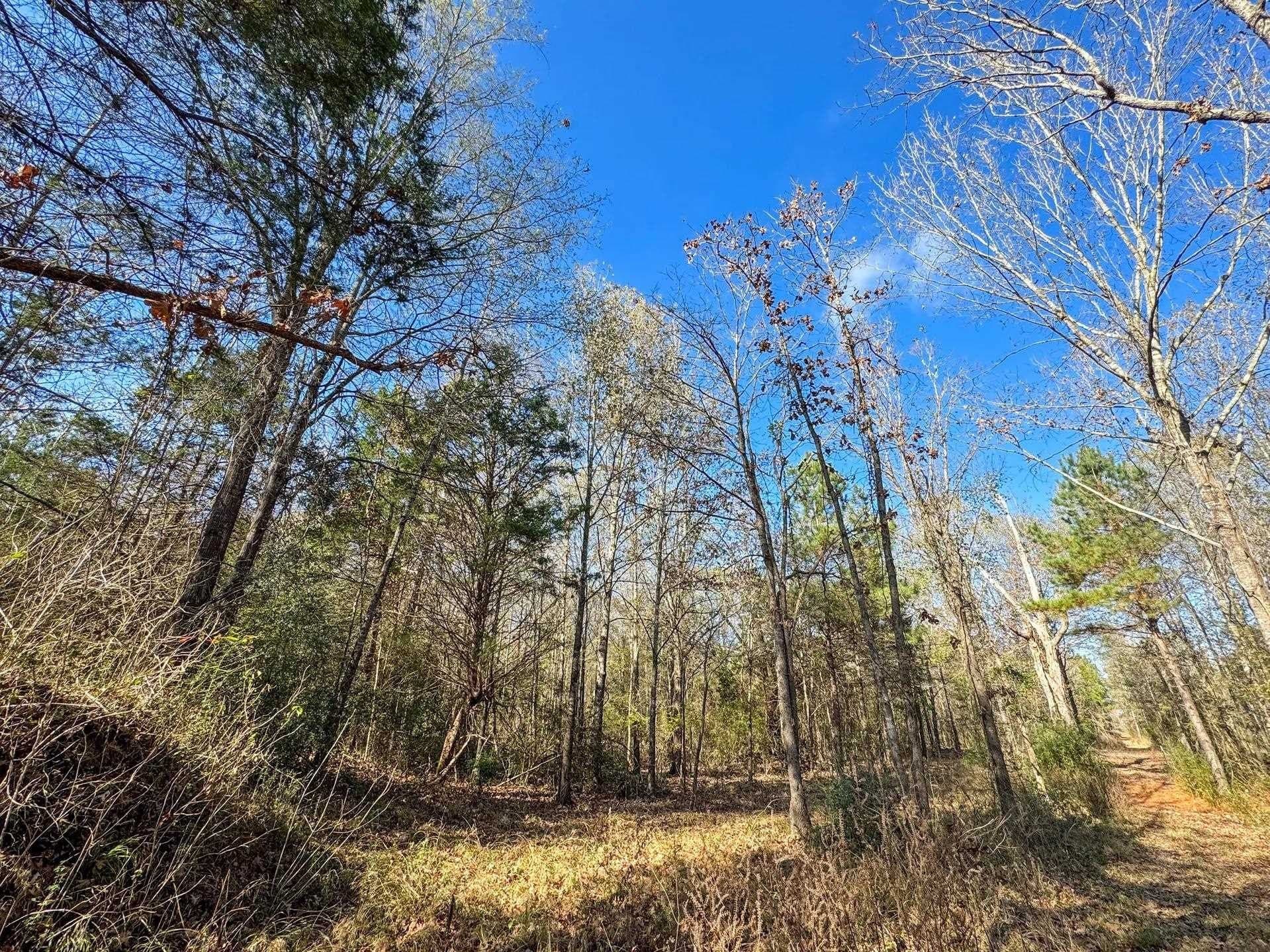 13.66 acres in Cass County featured view