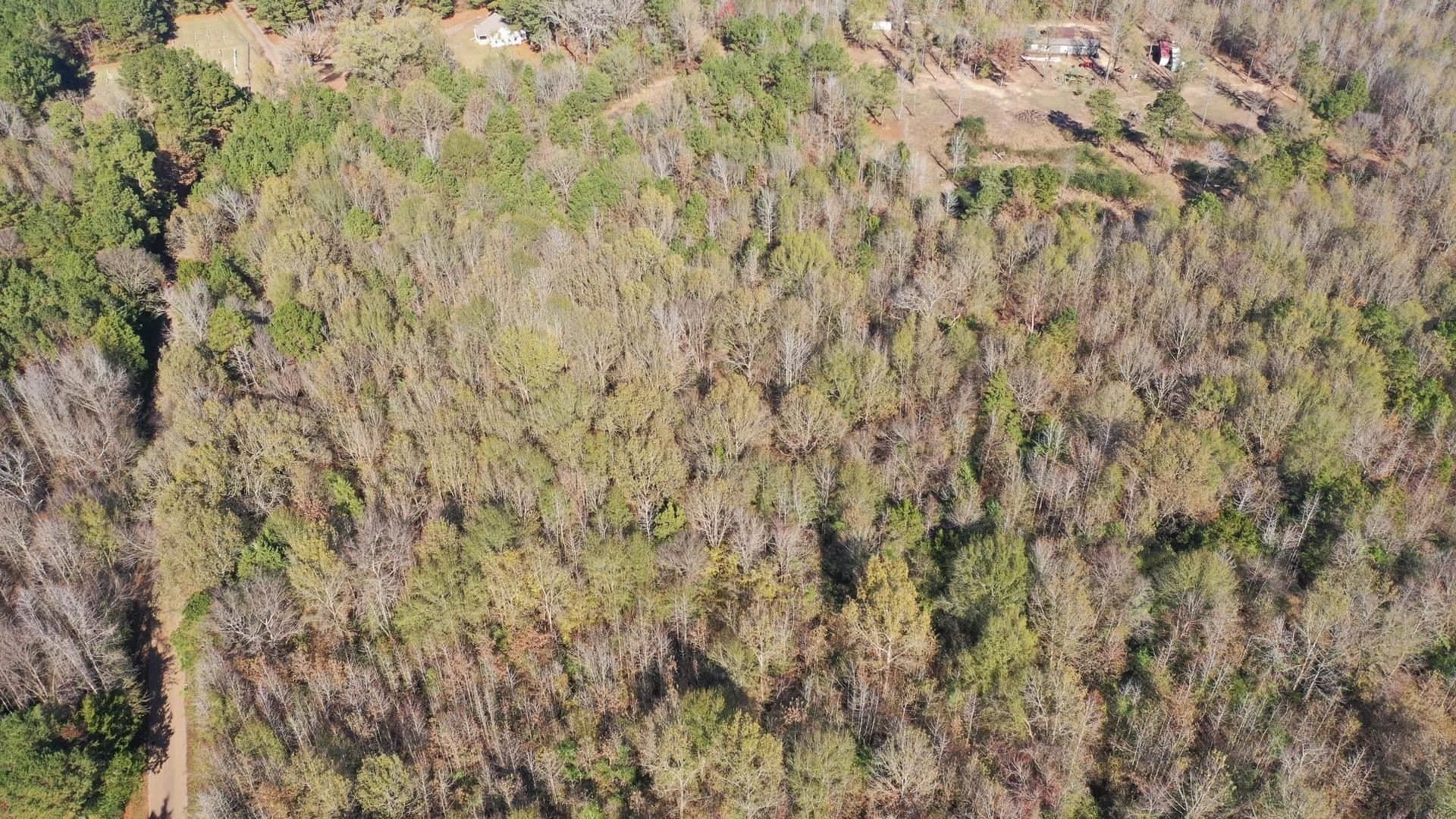 13.66 acres in Cass County gallery image 3