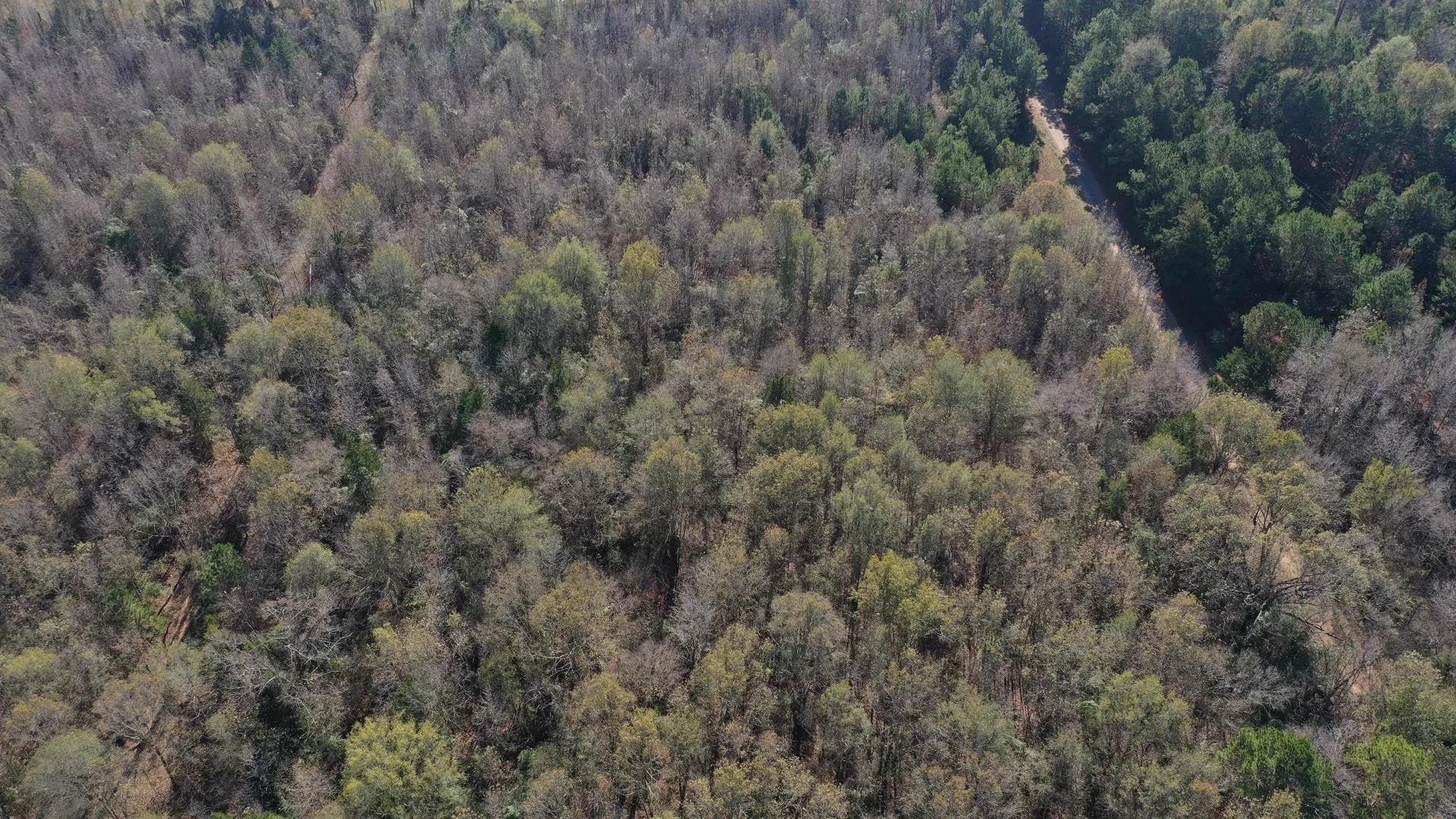 13.66 acres in Cass County gallery image 2