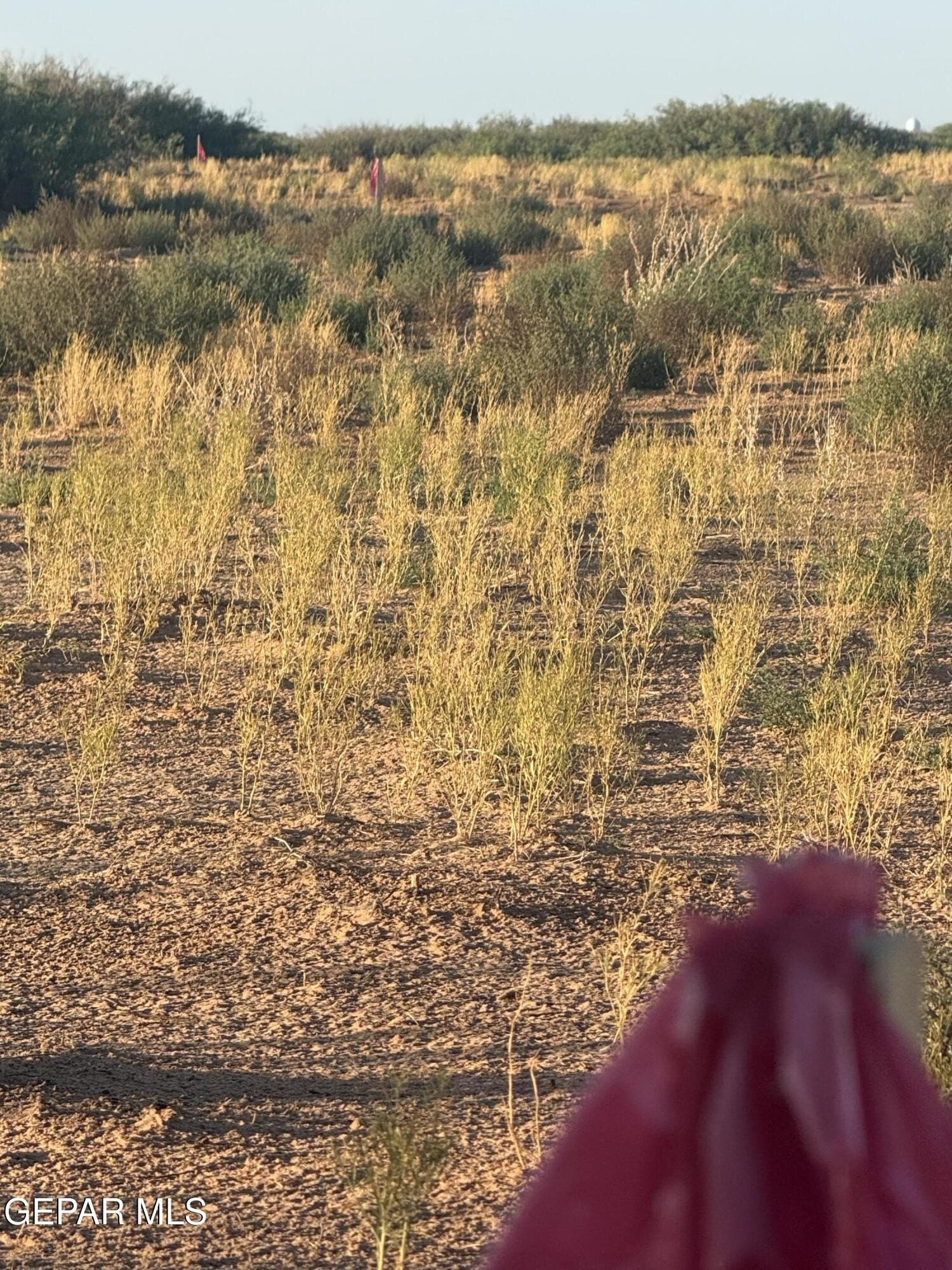 0.26 acres in El Paso County - photo 28