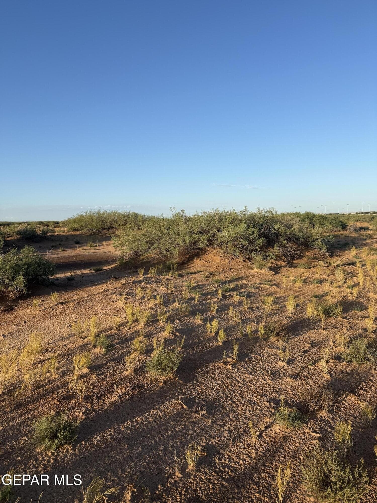 0.26 acres in El Paso County - photo 24